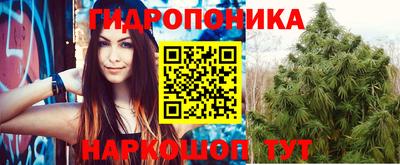 дурь Северобайкальск