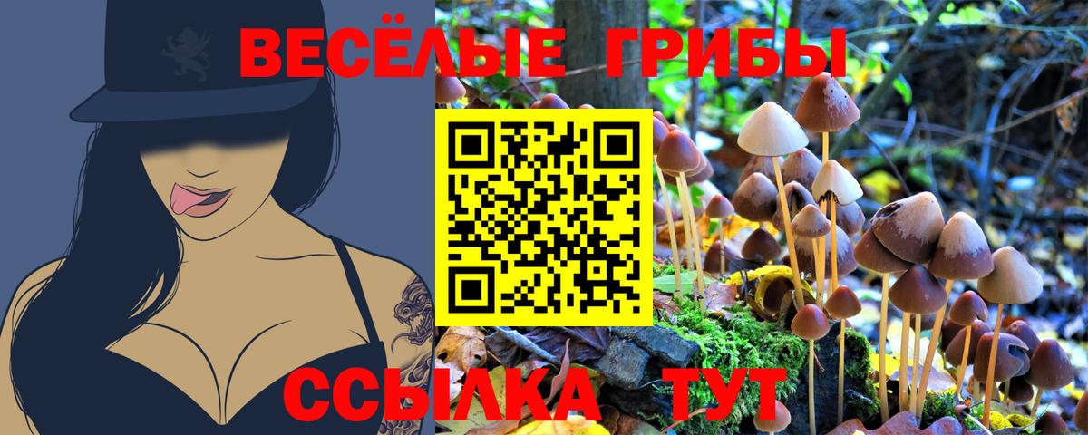 Аксай  Галлюциногенные грибы MAGIC MUSHROOMS  Вход с VPN  Галлюциногенные грибы мицелий 