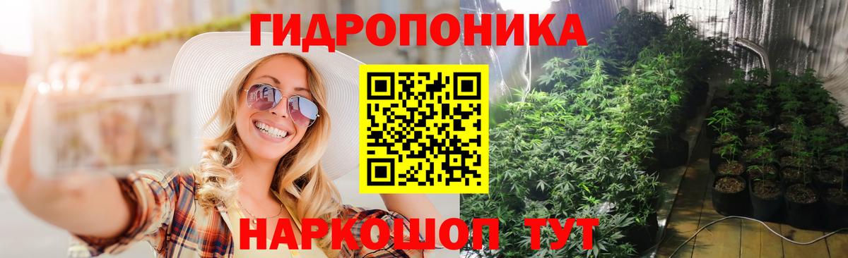Шишки марихуана MAZAR  Шишки марихуана White Widow  МАРИХУАНА LSD WEED  Аксай  Вход с VPN 
